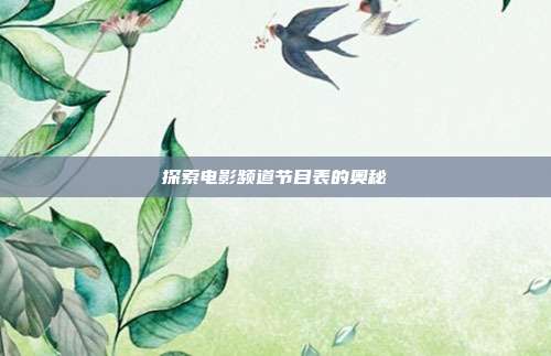 探索电影频道节目表的奥秘