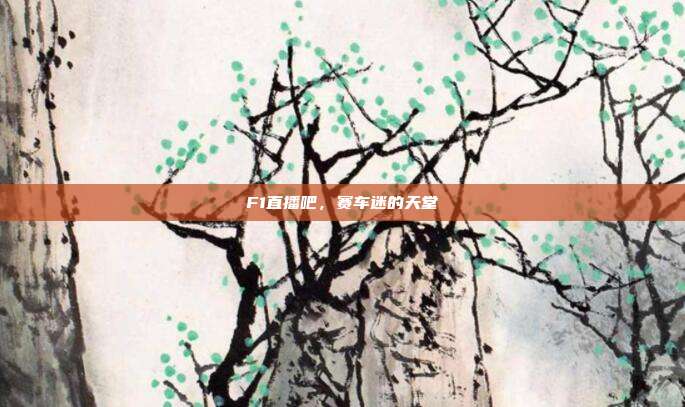 F1直播吧，赛车迷的天堂