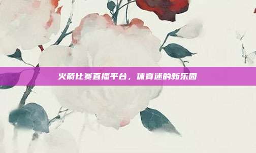 火箭比赛直播平台,体育迷的新乐园