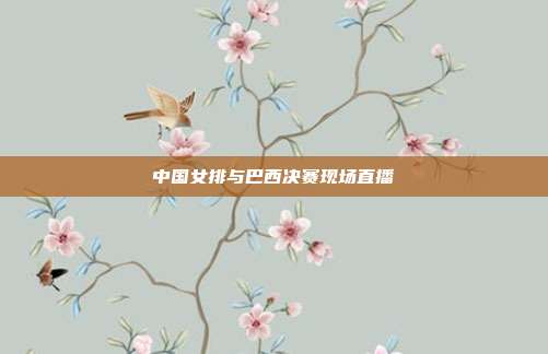 中国女排与巴西决赛现场直播