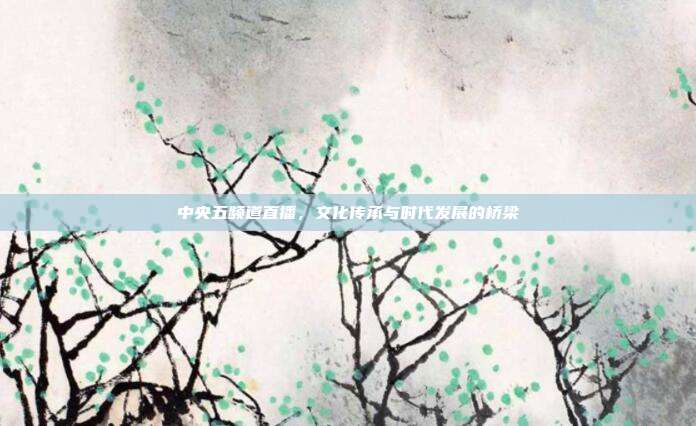 中央五频道直播,文化传承与时代发展的桥梁