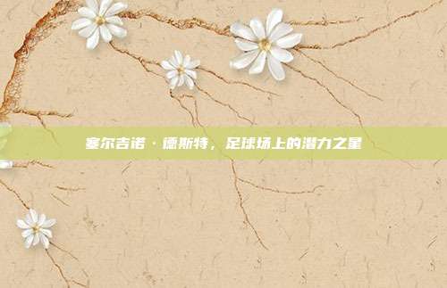塞尔吉诺·德斯特,足球场上的潜力之星