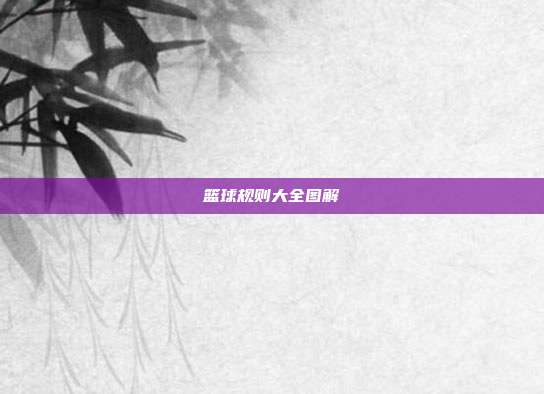 篮球规则大全图解