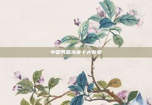 中国男篮未来十大新星