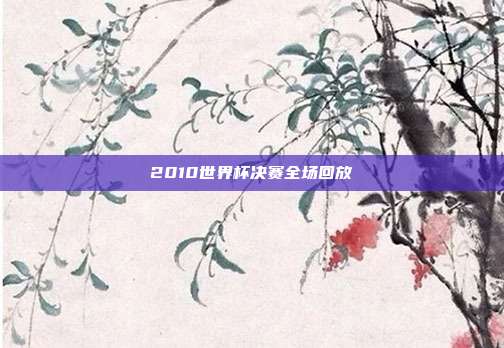 2010世界杯决赛全场回放