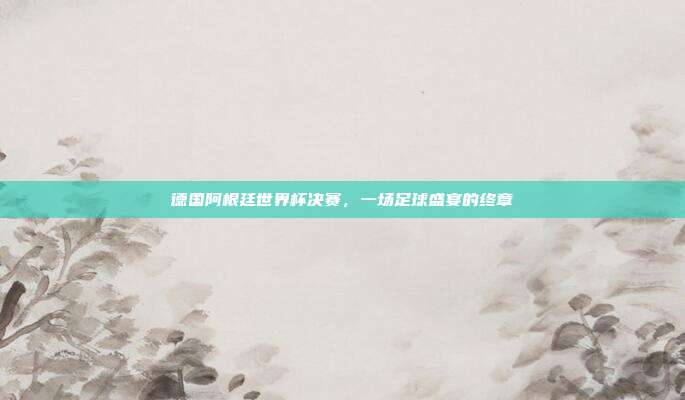 德国阿根廷世界杯决赛,一场足球盛宴的终章
