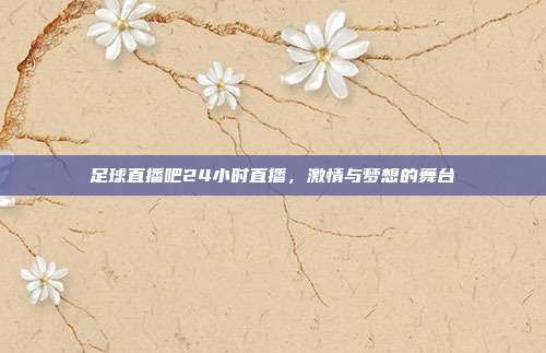 足球直播吧24小时直播,激情与梦想的舞台