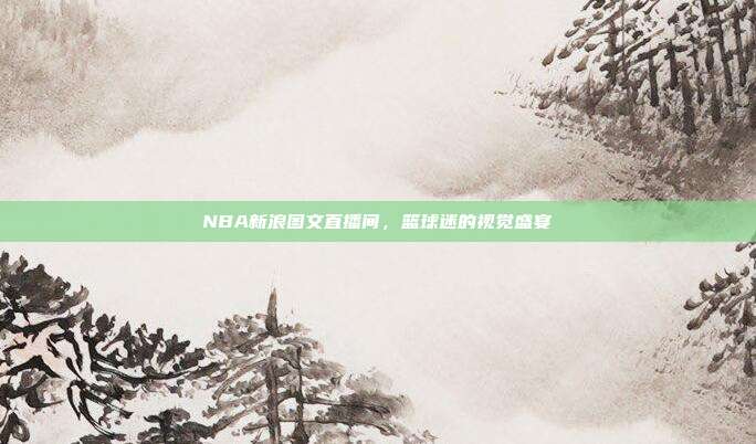 NBA新浪图文直播间,篮球迷的视觉盛宴