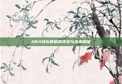NBA球队数量的演变与未来展望
