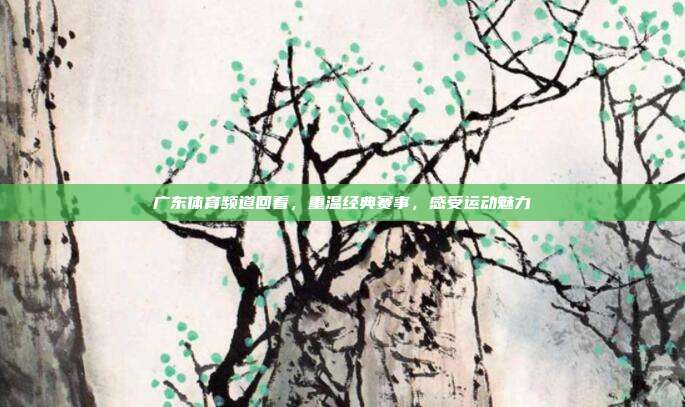 广东体育频道回看,重温经典赛事,感受运动魅力