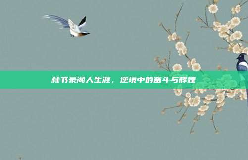 林书豪湖人生涯,逆境中的奋斗与辉煌