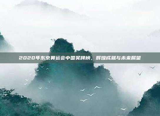 2020年东京奥运会中国奖牌榜,辉煌成就与未来展望