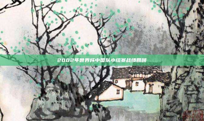 2002年世界杯中国队小组赛战绩回顾