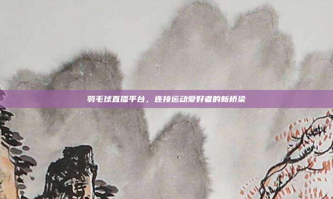 羽毛球直播平台,连接运动爱好者的新桥梁