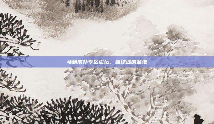 马刺虎扑专区论坛,篮球迷的圣地