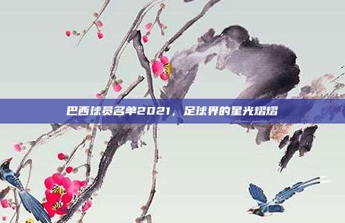 巴西球员名单2021,足球界的星光熠熠