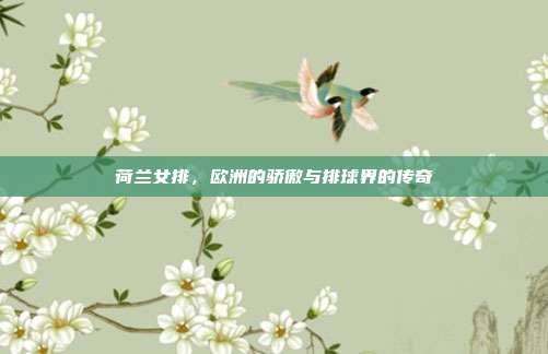 荷兰女排，欧洲的骄傲与排球界的传奇