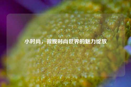 小时尚，微观时尚世界的魅力绽放