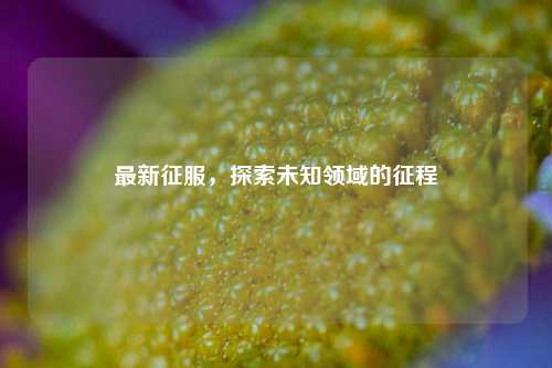 最新征服，探索未知领域的征程