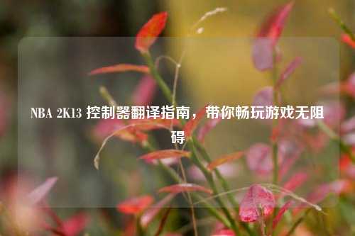 NBA 2K13 控制器翻译指南，带你畅玩游戏无阻碍