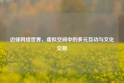 边锋网络世界，虚拟空间中的多元互动与文化交融