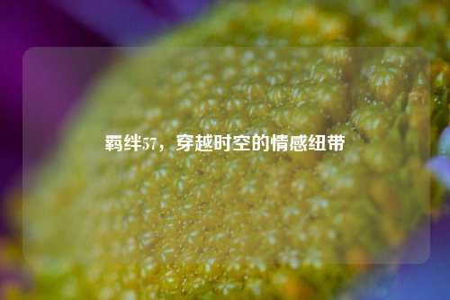 羁绊57，穿越时空的情感纽带
