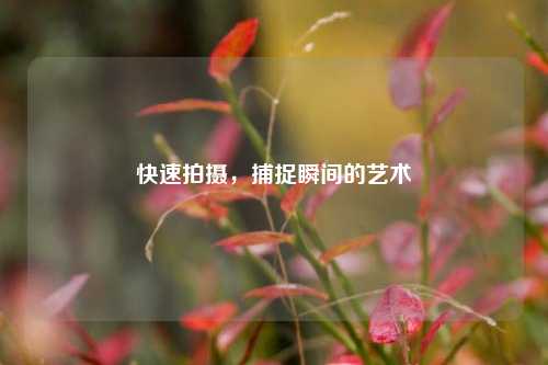 快速拍摄，捕捉瞬间的艺术