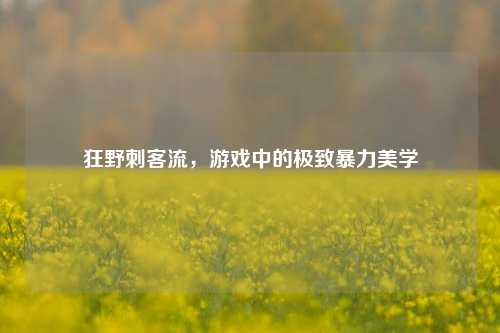 狂野刺客流，游戏中的极致暴力美学