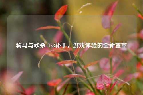 骑马与砍杀1153补丁，游戏体验的全新变革