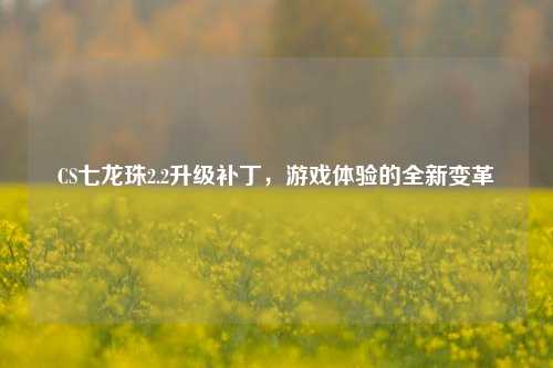 CS七龙珠2.2升级补丁，游戏体验的全新变革