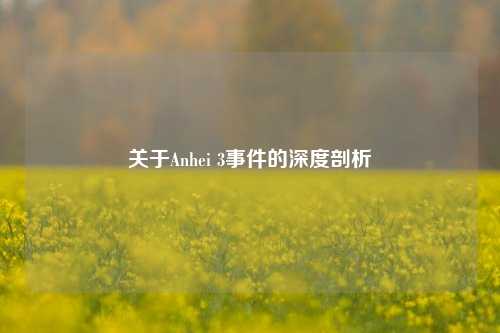 关于Anhei 3事件的深度剖析