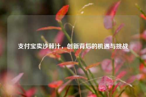 支付宝卖沙棘汁，创新背后的机遇与挑战