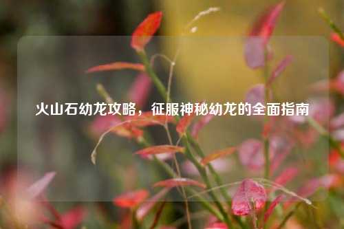 火山石幼龙攻略，征服神秘幼龙的全面指南