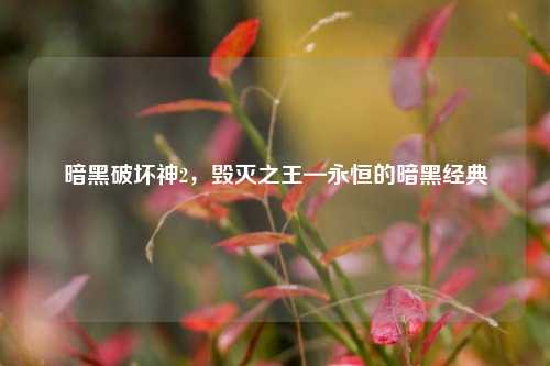 暗黑破坏神2，毁灭之王—永恒的暗黑经典
