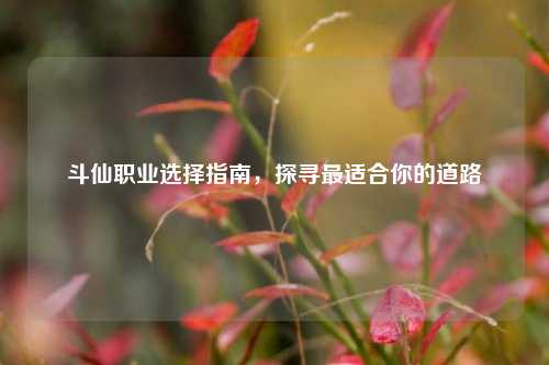 斗仙职业选择指南，探寻最适合你的道路