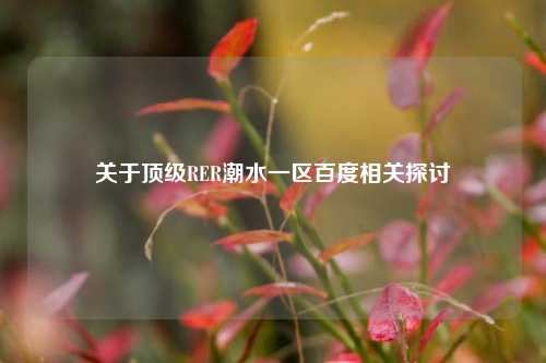 关于顶级RER潮水一区百度相关探讨