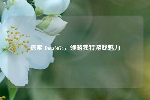 探索 Dota667c，领略独特游戏魅力