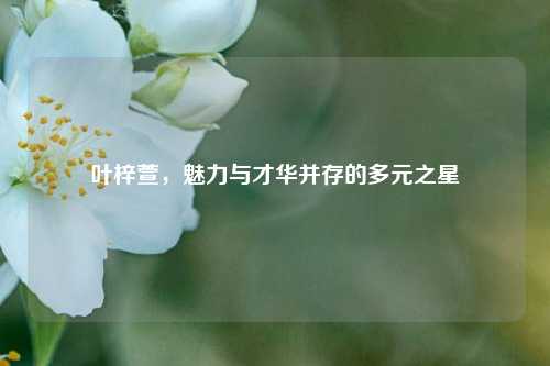 叶梓萱，魅力与才华并存的多元之星