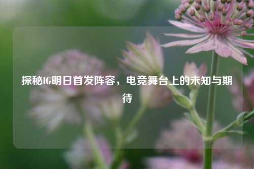 探秘IG明日首发阵容，电竞舞台上的未知与期待