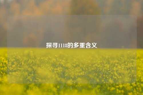 探寻1118的多重含义