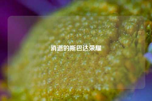 消逝的斯巴达荣耀