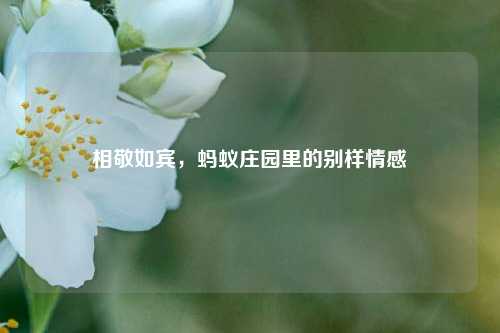 相敬如宾，蚂蚁庄园里的别样情感