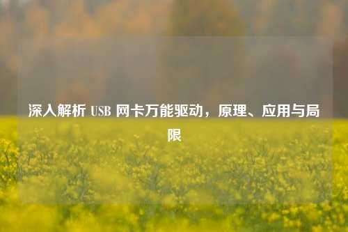 深入解析 USB 网卡万能驱动，原理、应用与局限
