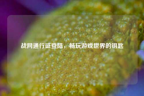 战网通行证登陆，畅玩游戏世界的钥匙