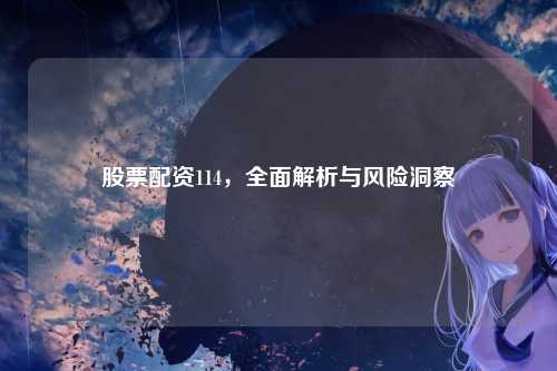 股票配资114,全面解析与风险洞察