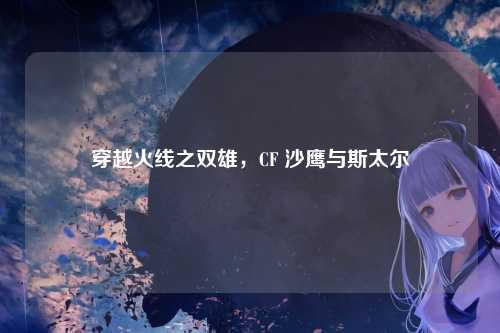 穿越火线之双雄,CF 沙鹰与斯太尔