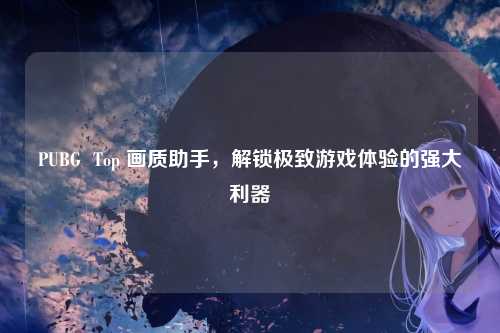 PUBG  Top 画质助手，解锁极致游戏体验的强大利器