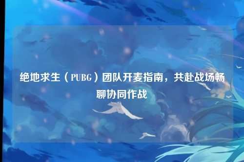 绝地求生(PUBG)团队开麦指南,共赴战场畅聊协同作战