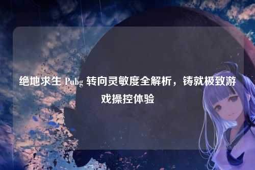 绝地求生 Pubg 转向灵敏度全解析,铸就极致游戏操控体验