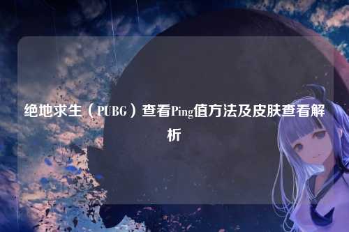 绝地求生(PUBG)查看Ping值方法及皮肤查看解析